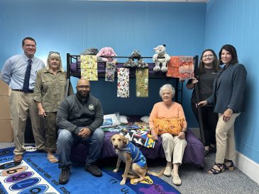 article image - pillow1